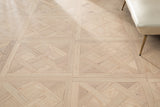 FES13 image 4