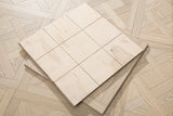 FES12 image 8