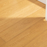 FGT1001-Oak