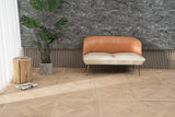 FES13 image 2